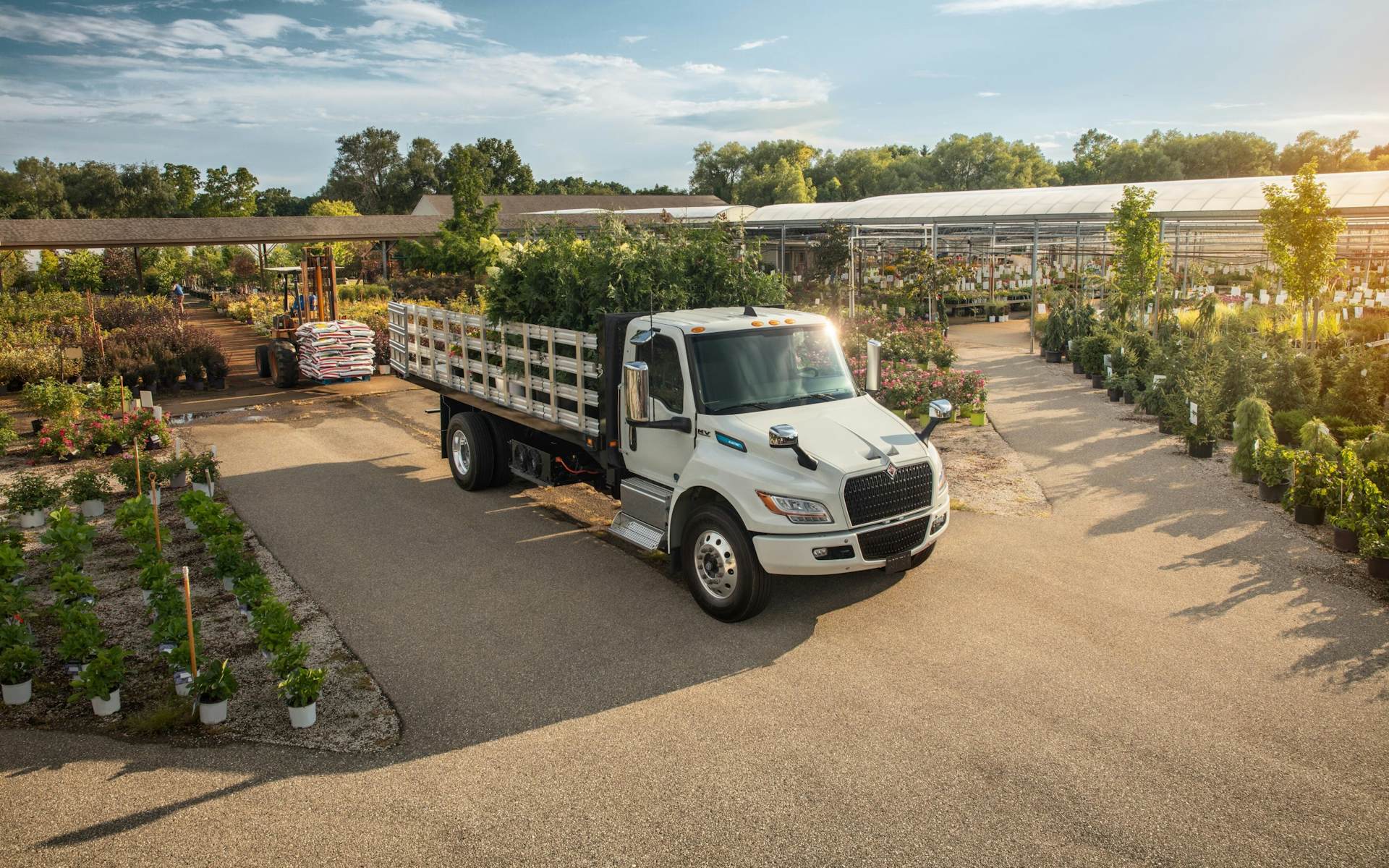 A truck with a bed of plants